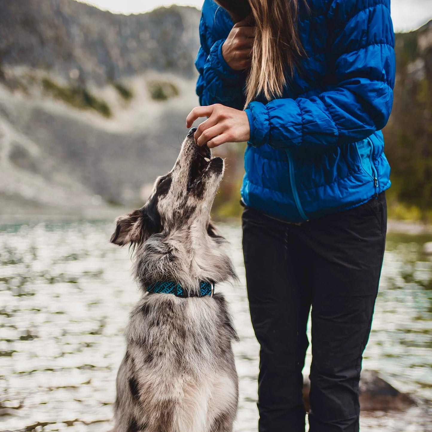 Wilderdog – Collier en corde