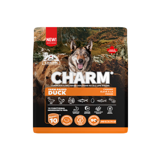 Charm – Recette de canard sans grains - Chien