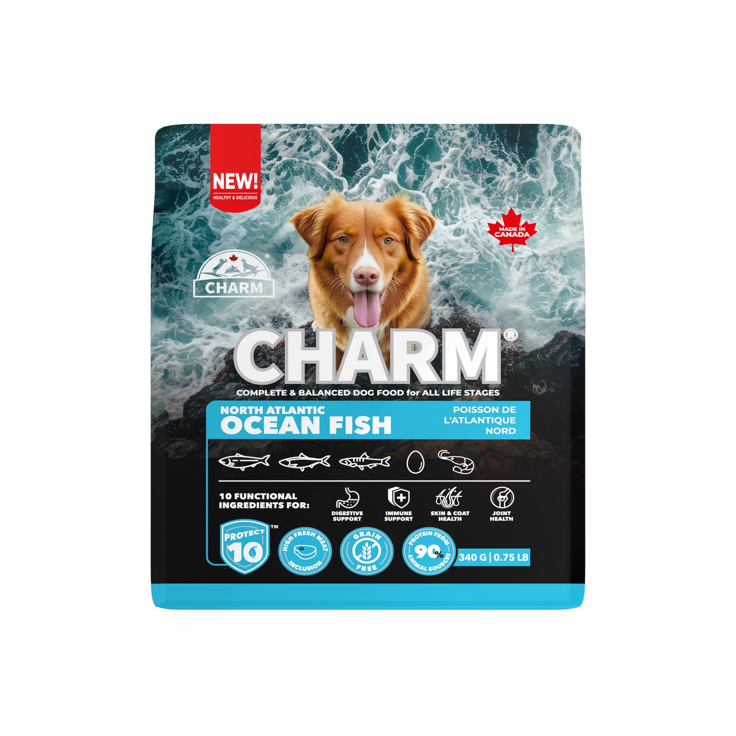 Charm – Recette de poisson de L'Atlantique Nord sans grains - Chien