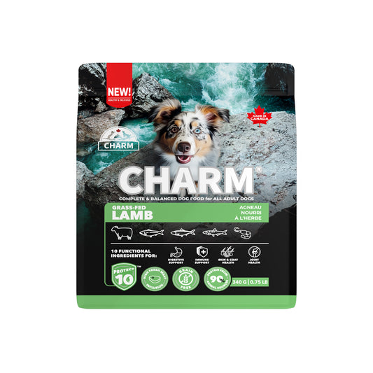 Charm – Recette d'agneau sans grains - Chien