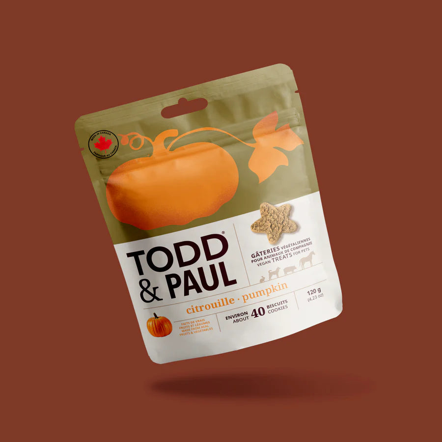 Todd & Paul – Biscuits – Citrouilles