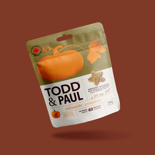 Todd & Paul – Biscuits – Citrouilles
