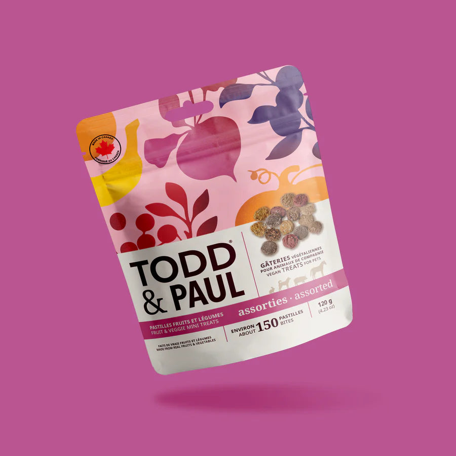 Todd & Paul – Pastilles d'entraînement – Saveurs assorties