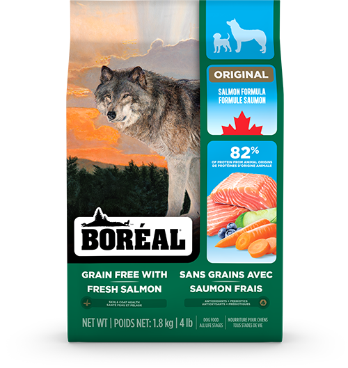 Boréal – Original – Sans Grains - Saumon