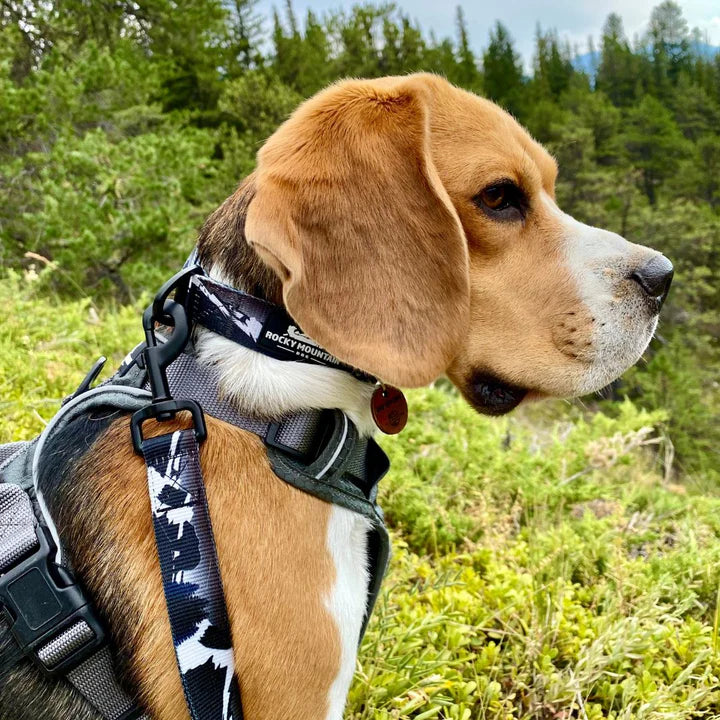 Rocky Mountain Dog – Collier