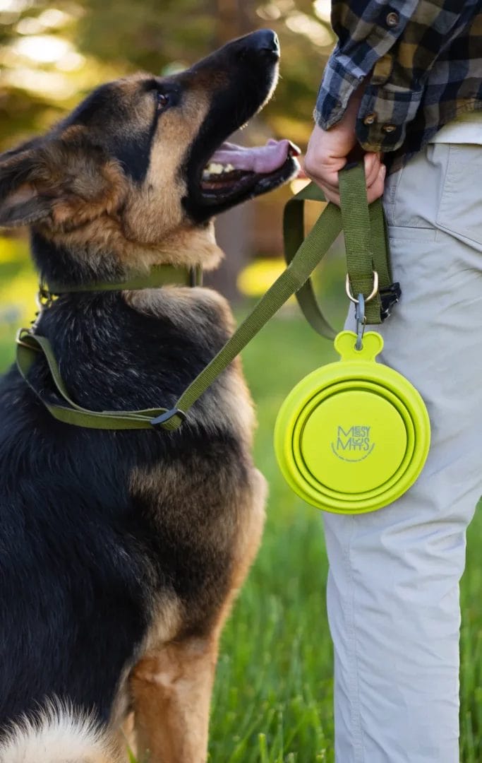 Messy Mutts – Bol Silicone Rétractable