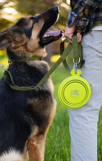 Messy Mutts – Bol Silicone Rétractable