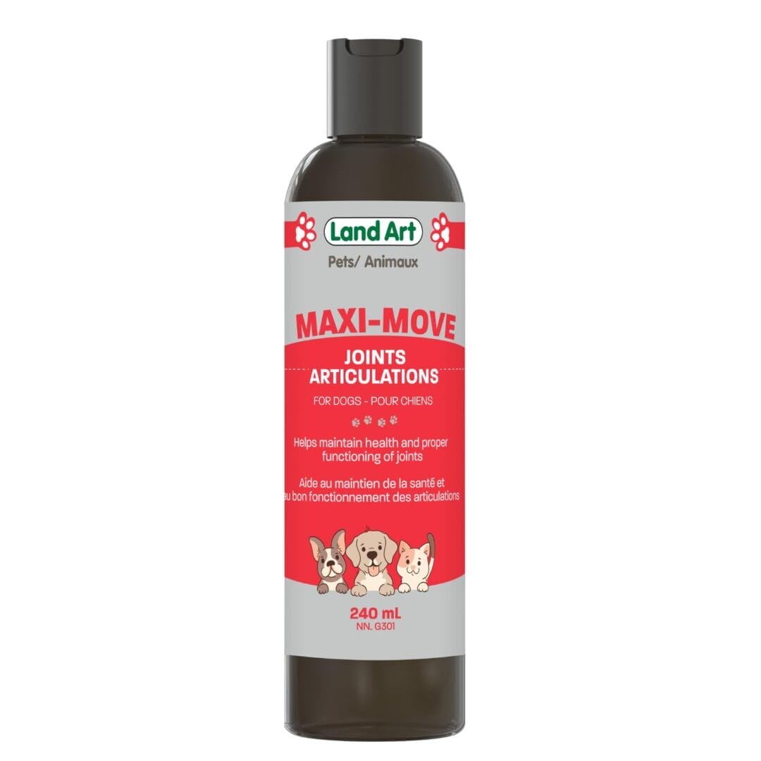 Land Art – Maxi-Move