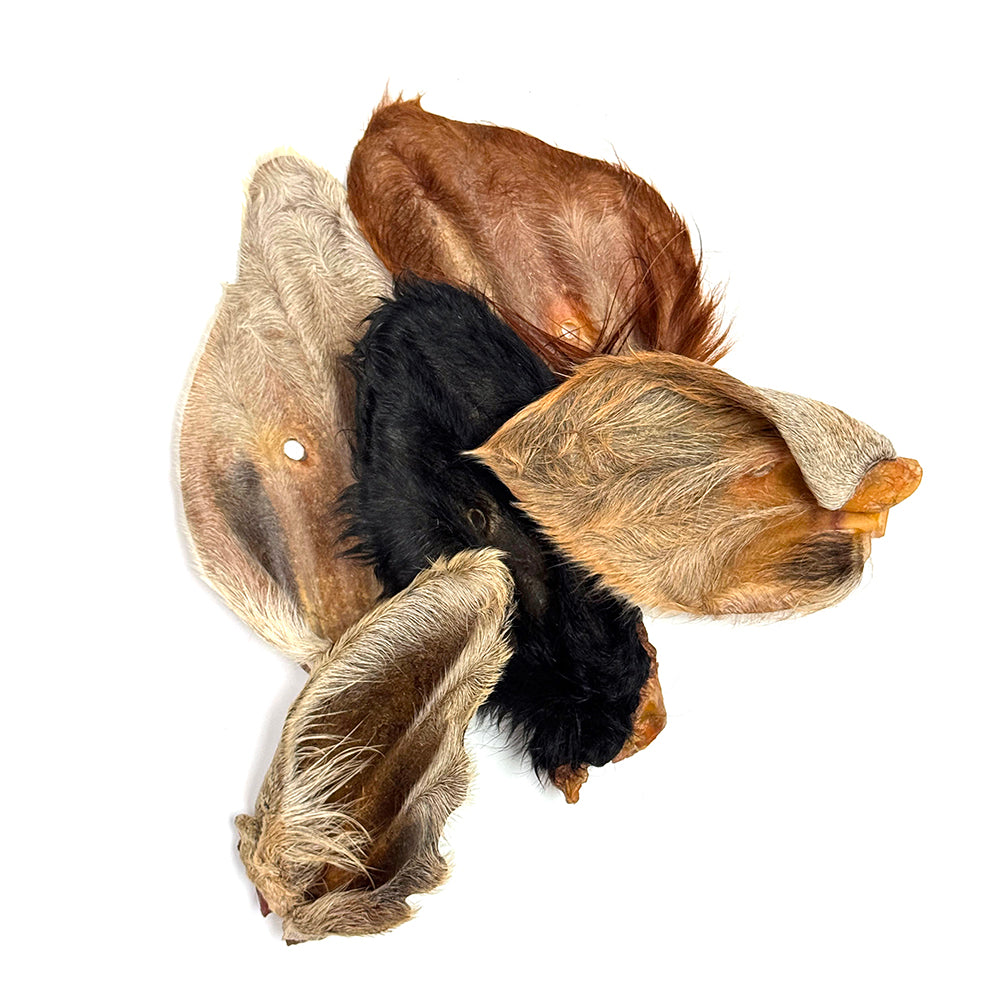 Bullsters – Oreilles de boeuf avec fourrure