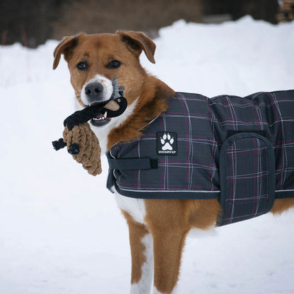 Shedrow K9 – Oie en corde