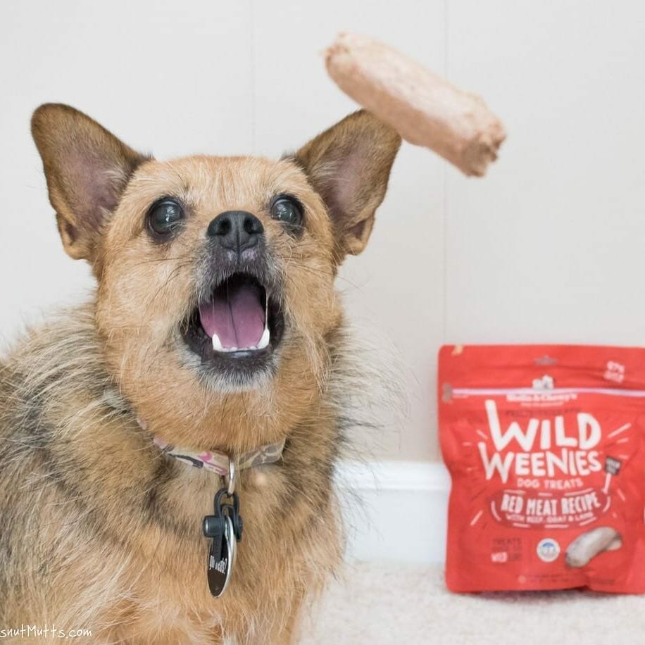 Stella & Chewy's