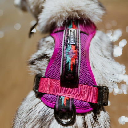 Wilderdog