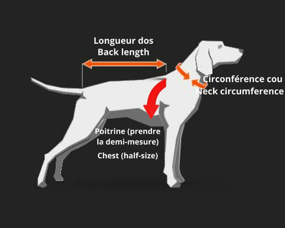 Non-stop dogwear