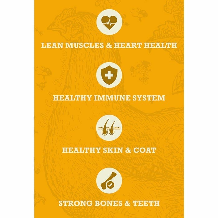 Acana – Grains santé formule chiens adultes – Volaille