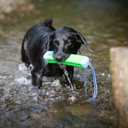 Chuckit!
