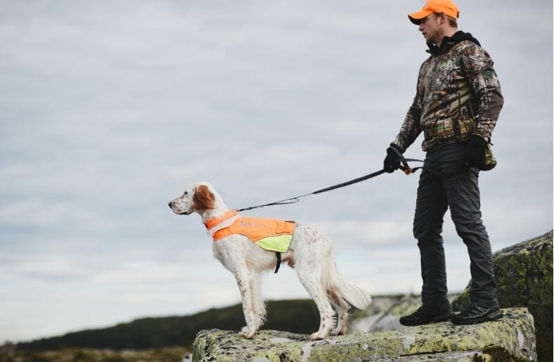 Non-stop dogwear