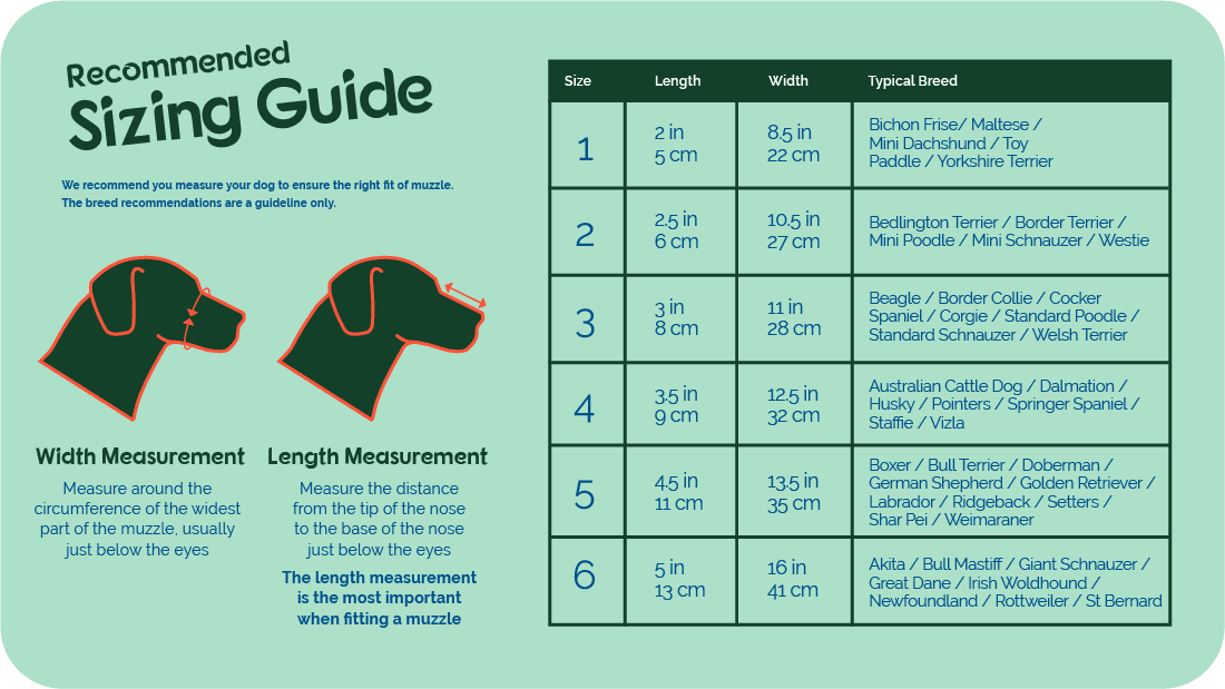 The Company of Animals