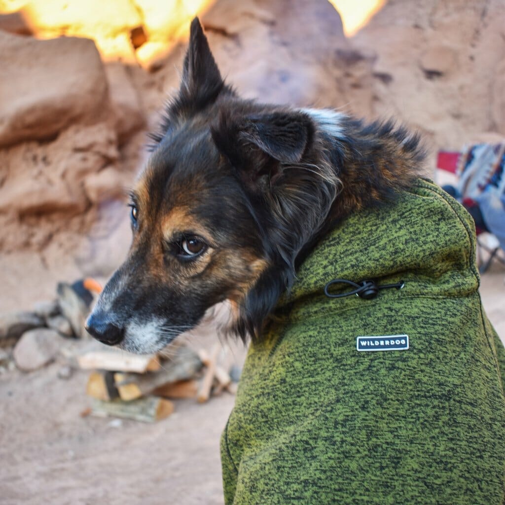 Wilderdog – Veste Polaire