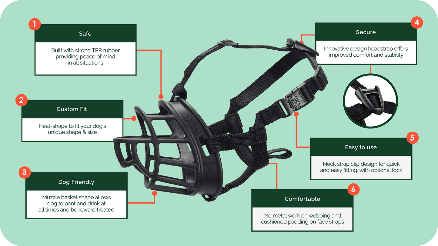 The Company of Animals