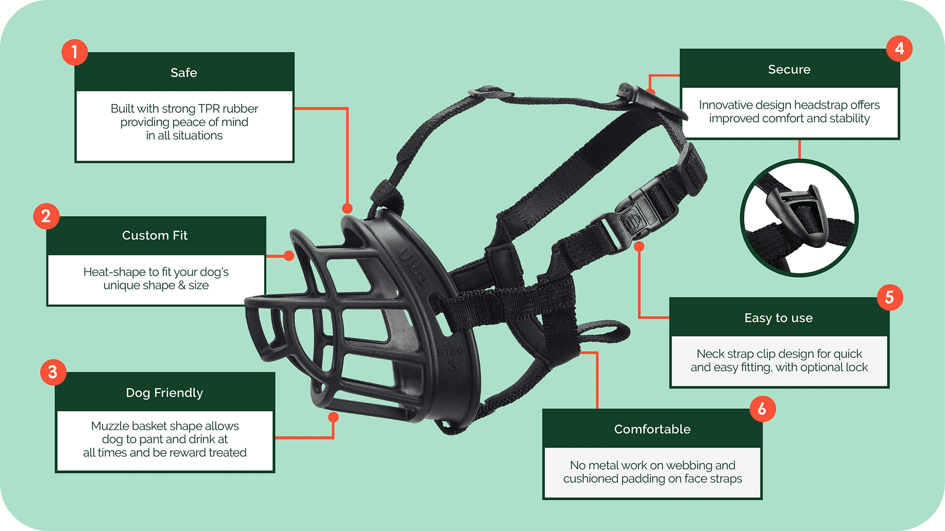 The Company of Animals