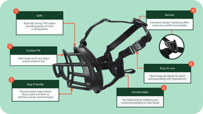 The Company of Animals