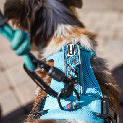 Wilderdog