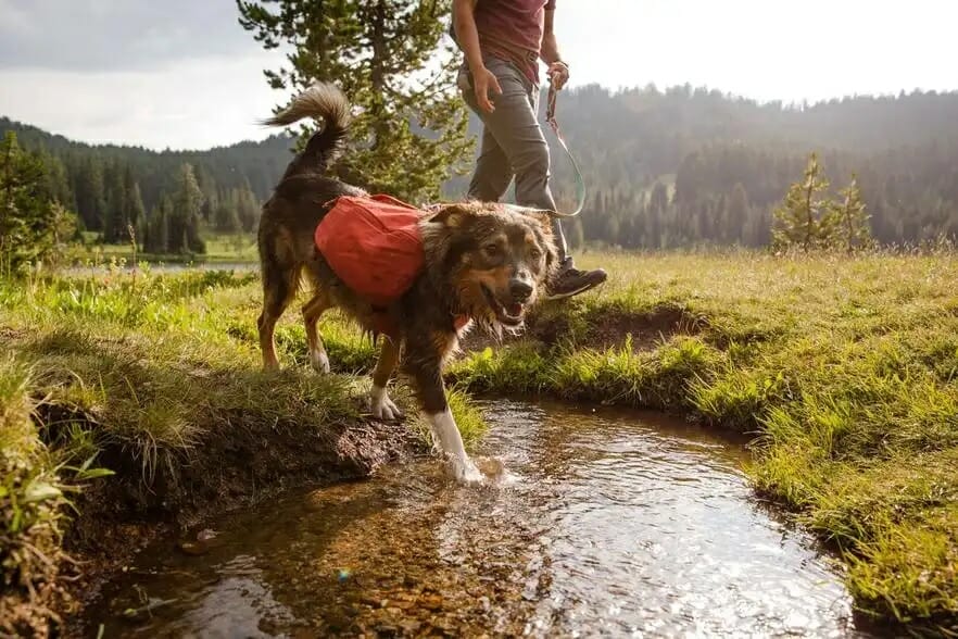 Ruffwear