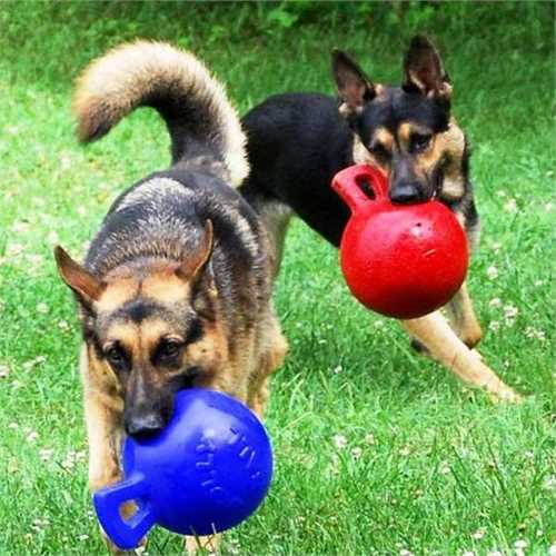 Jolly Pets
