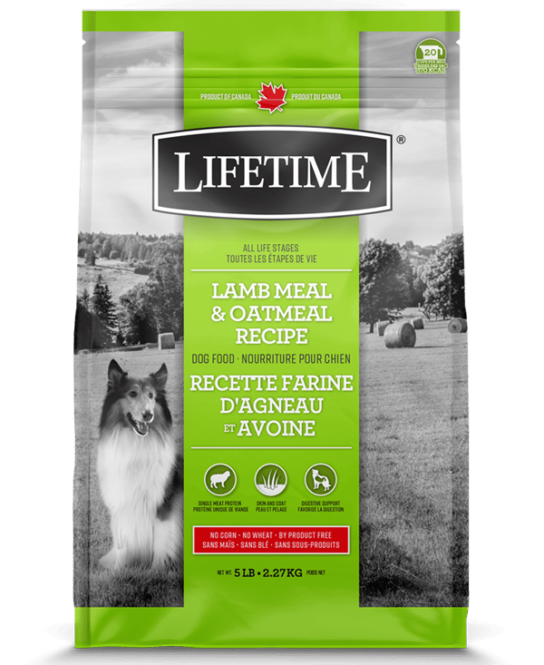 Lifetime