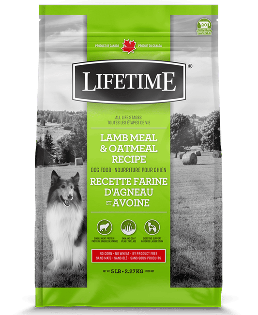 Lifetime