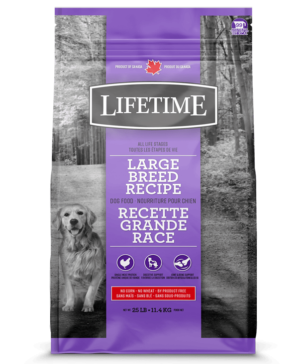 Lifetime