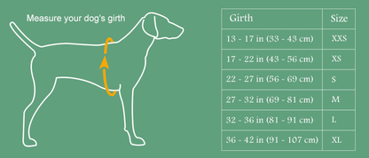 Ruffwear