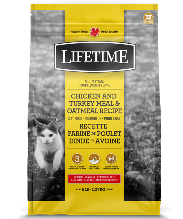 Lifetime