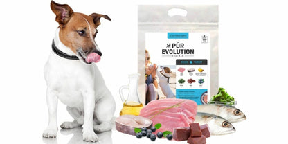 Pür Evolution