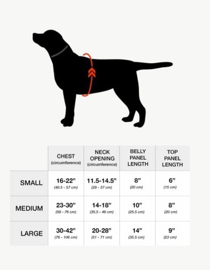 Wilderdog