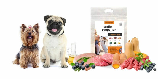 Pür Evolution