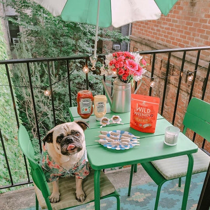 Stella & Chewy's