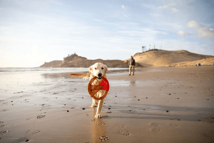 Ruffwear