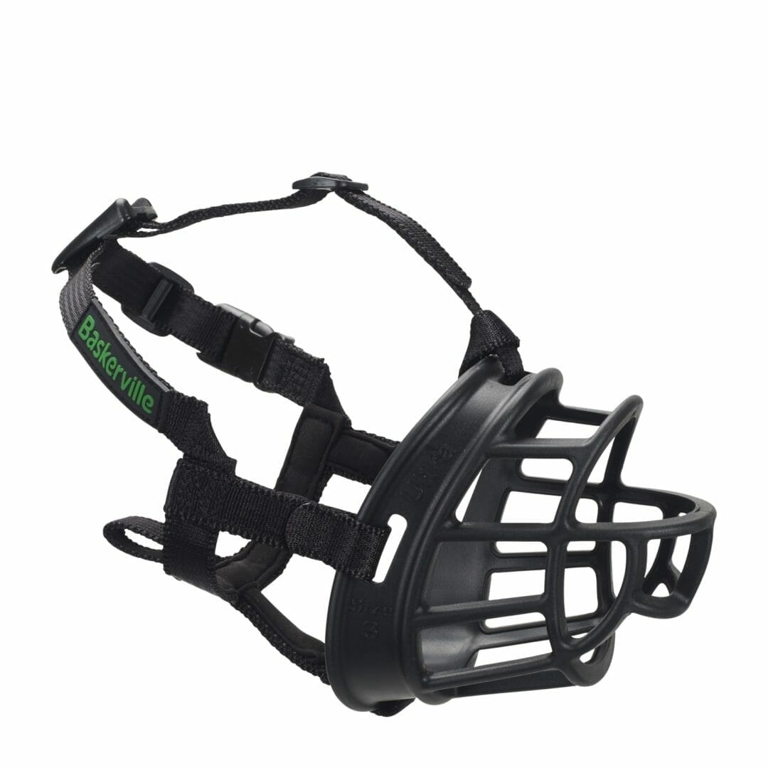 The Company of Animals