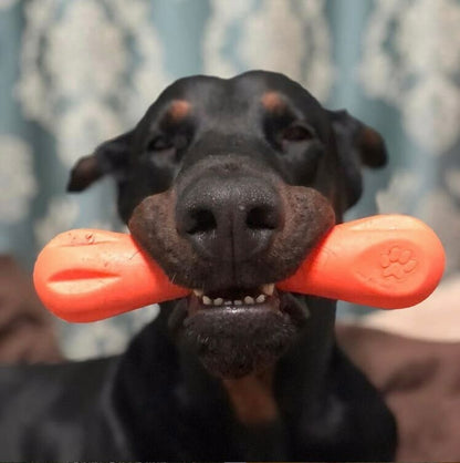 West Paw