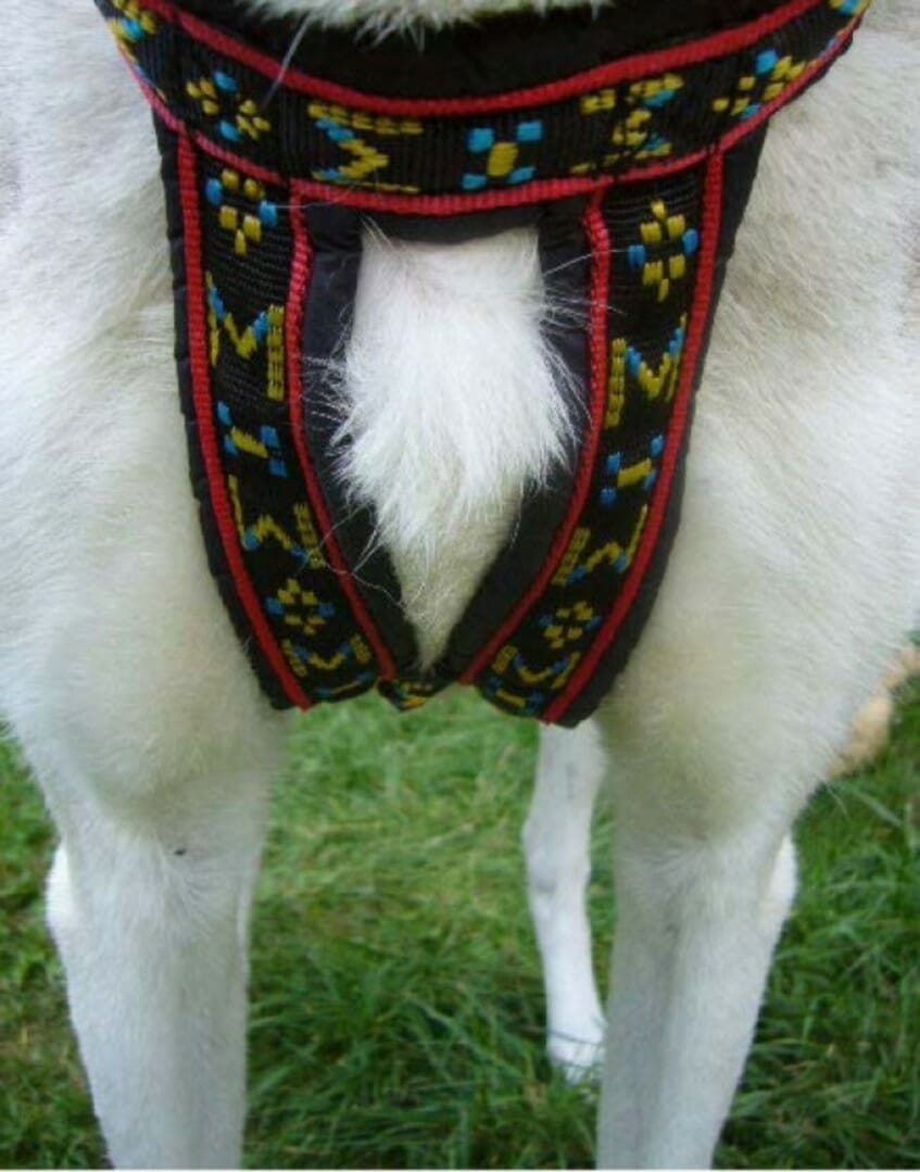 Manmat