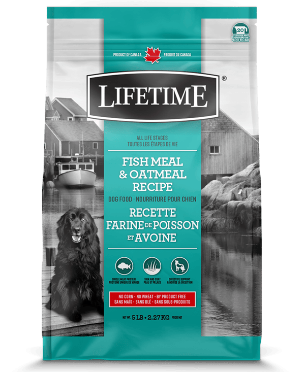 Lifetime