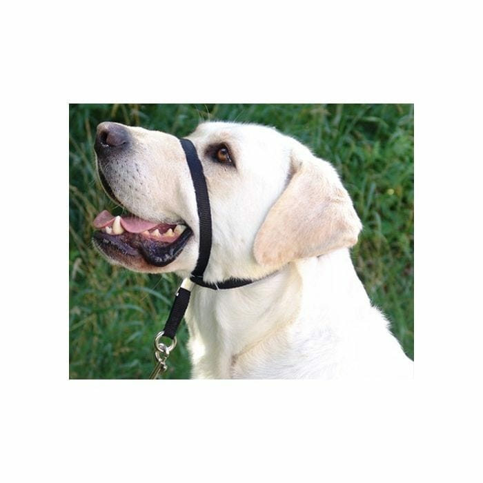 Gentle Leader – Licou de contrôle pour Chien - Noir – La Belle Bête ...