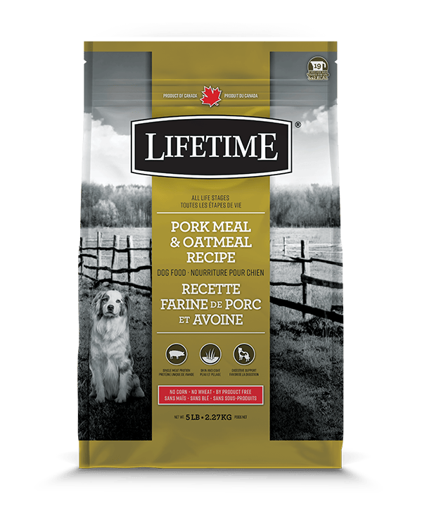 Lifetime