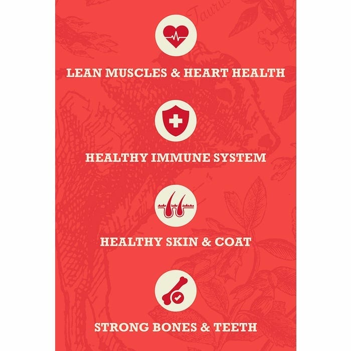 Acana – Grains santé formule chiens adultes – Viande Rouge