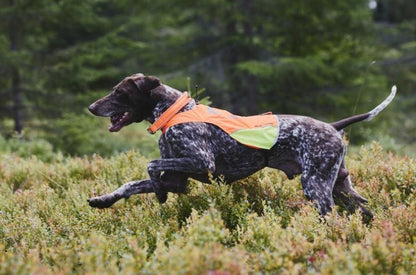 Non-stop dogwear