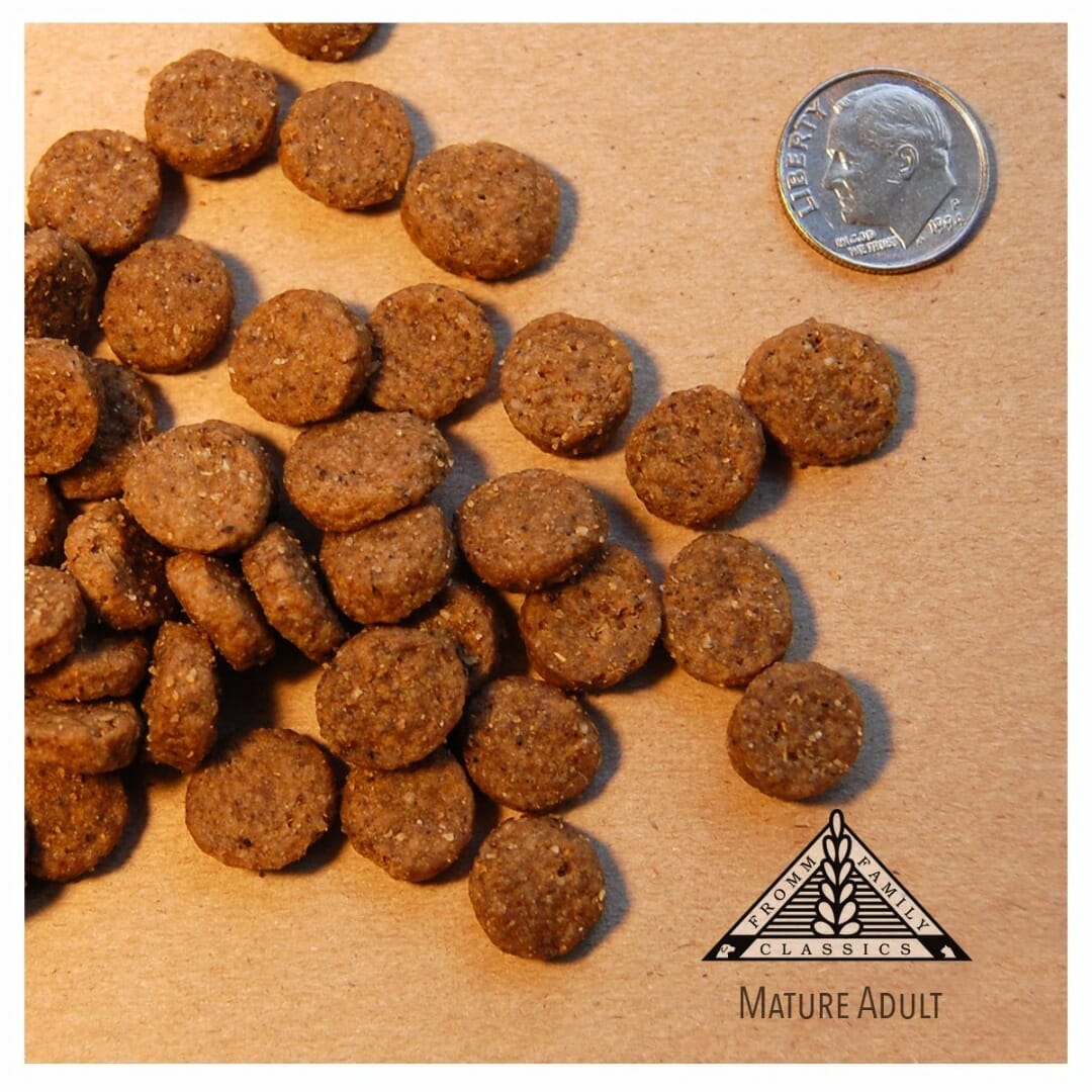 Fromm – Classic - Chien Sénior
