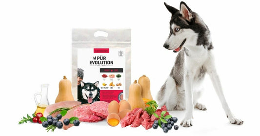 Pür Evolution