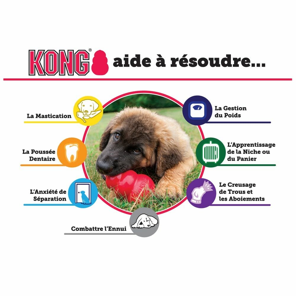 Kong