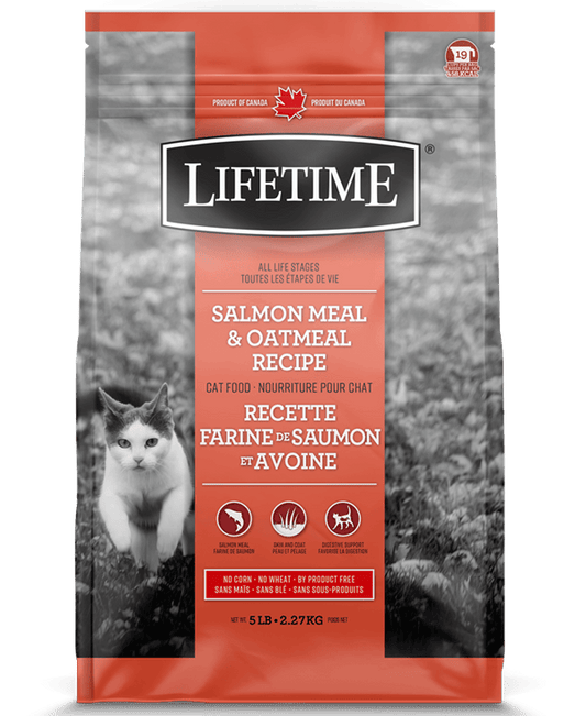 Lifetime